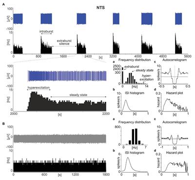 Phasic Neuronal Firing in the Rodent Nucleus of the Solitary Tract ex vivo